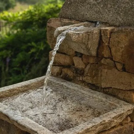 Beautiful Family With Pool Near