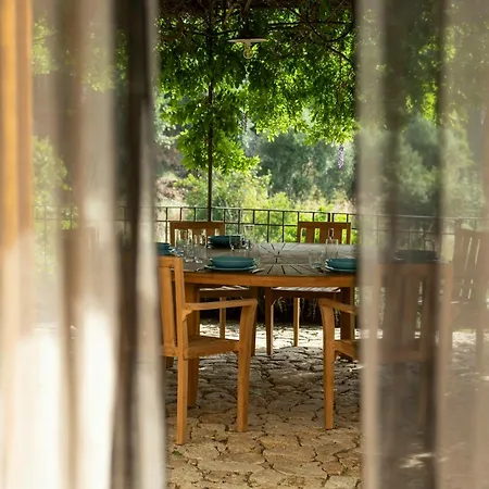 Beautiful Family With Pool Near