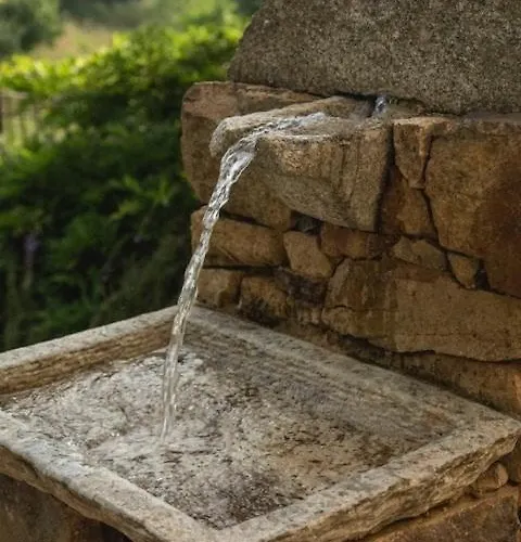Beautiful Family With Pool Near